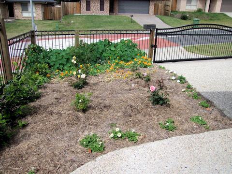 Landscape Design