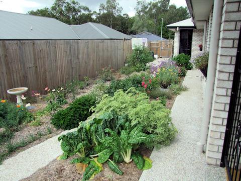 Landscape Design