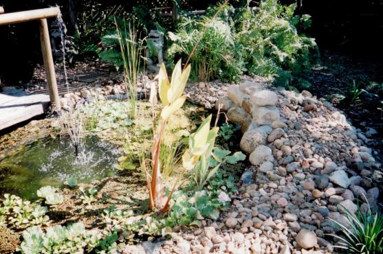 Water Feature Ideas by Professional Irrigation Landscaping & Fencing
