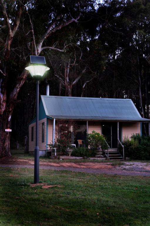 3 meter Pole Mounted Decorative Lighting 