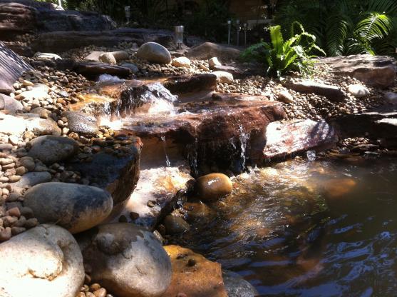 Water Feature Ideas by IHS, Everything Garden