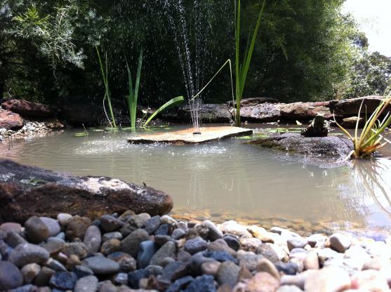 Water Feature Ideas by IHS, Everything Garden