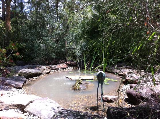 Water Feature Ideas by IHS, Everything Garden