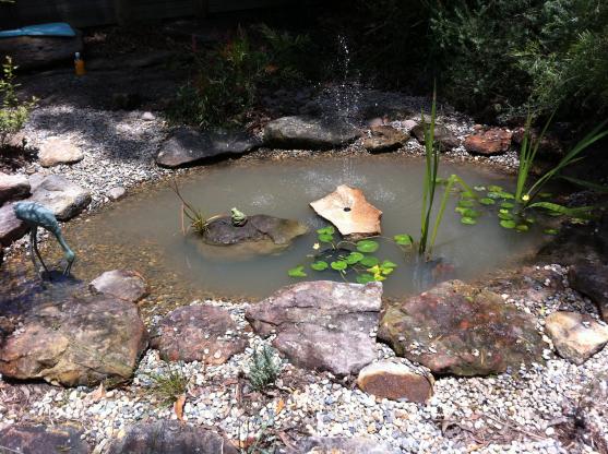 Water Feature Ideas by IHS, Everything Garden