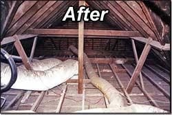 Ceiling Vacuuming - Before & After