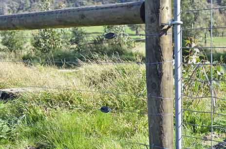 Electric Fencing