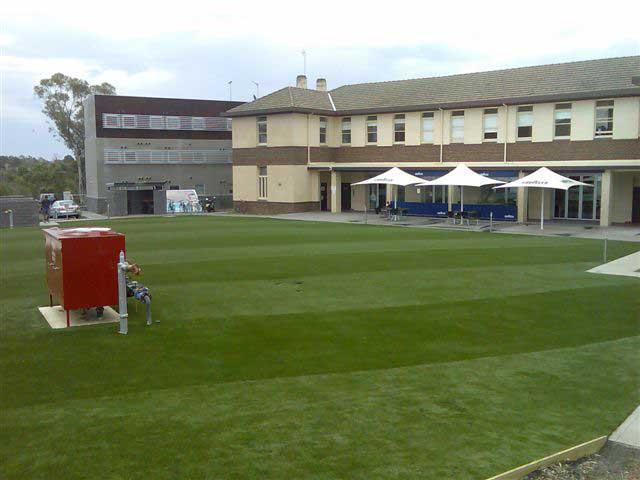 Commercial - Synthetic Grass