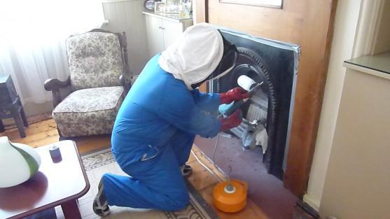 pest control