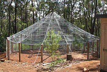 Exotic Garden Structures