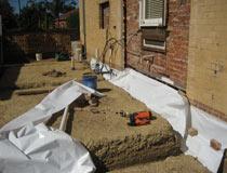 Pest Management