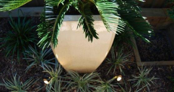 Water Feature Ideas by Designer Green