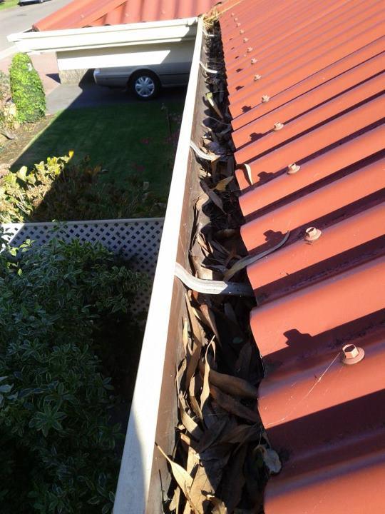 Gutter Cleaning