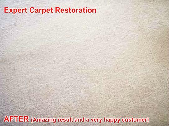 Carpet Cleaning