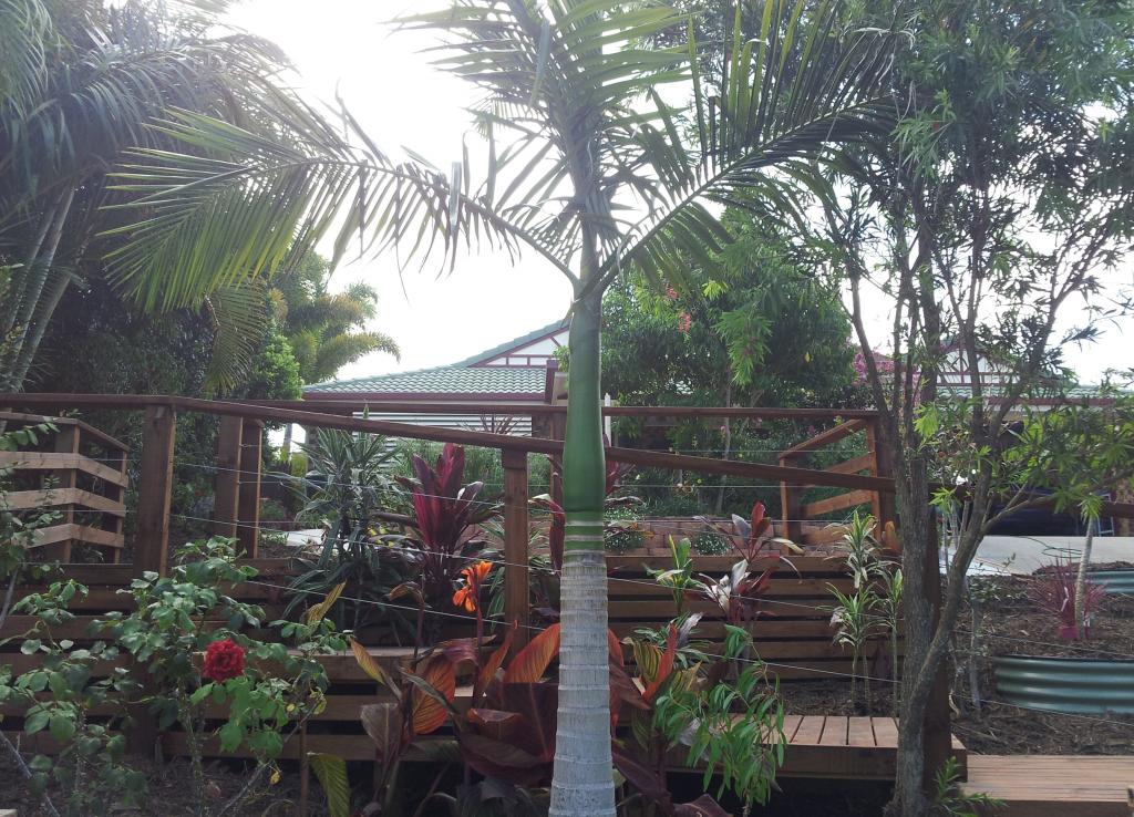 Decks, Stairs & Handrails