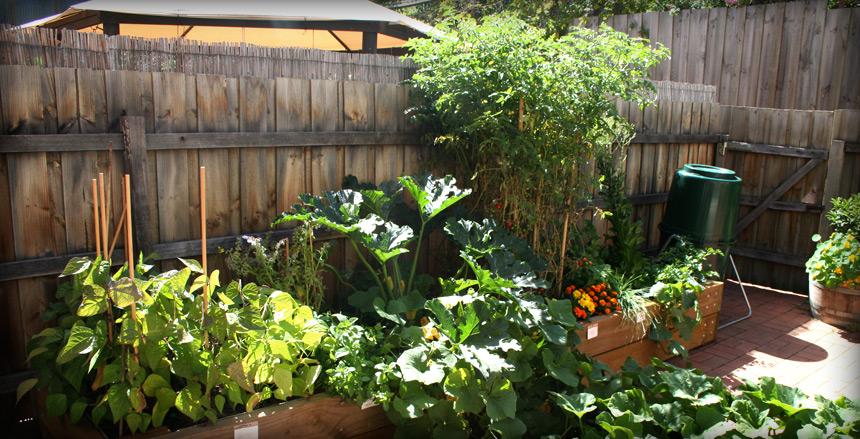 Kitchen Farmer Raised Garden Bed Materials A Raised Garden Bed Kitchen Farmer Raised Garden Bed Materials A Raised Garden Bed