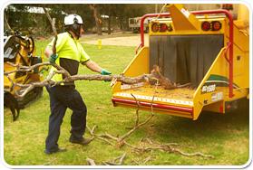 Our Services 