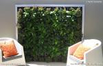 Vertical Gardens