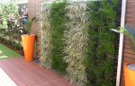 Vertical Gardens