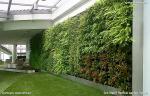 Vertical Gardens