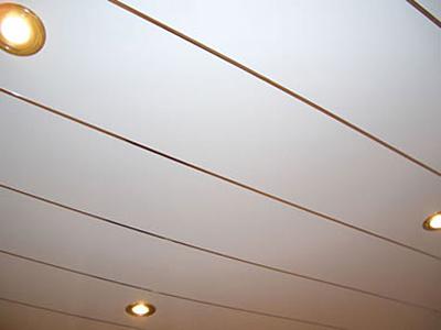 Bathroom Ceilings