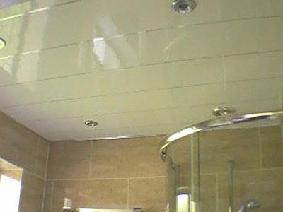 Bathroom Ceilings