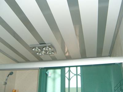 Bathroom Ceilings