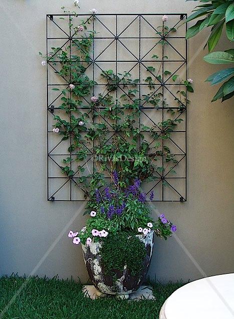 Wall Trellises & Mirrors