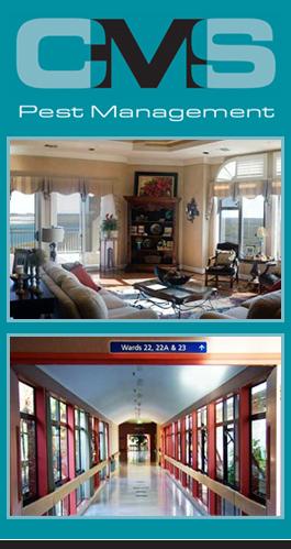 Profile Gallery 
