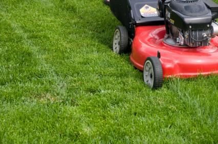 Lawn Mowing