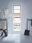 Roof Windows / Skylights