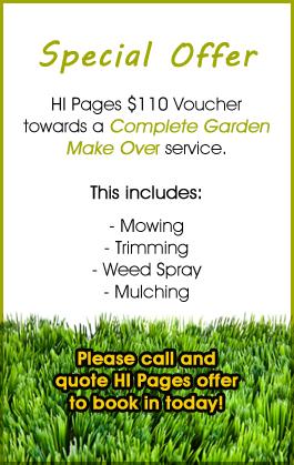 Special Offer
