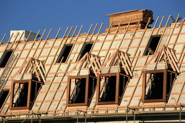 Builders & Carpenters