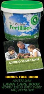 Lawn Store