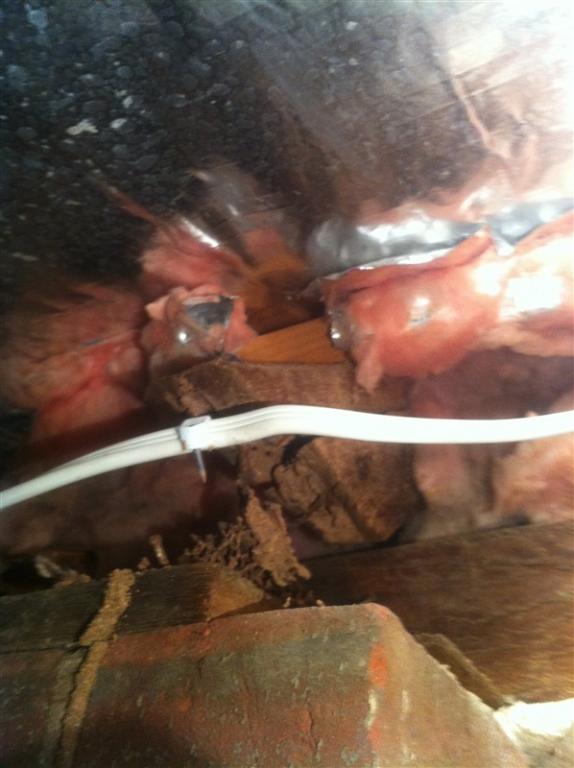 Termite Damage