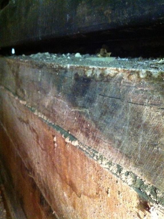Termite Damage