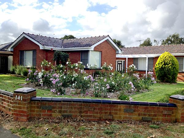 Garden Maintenance