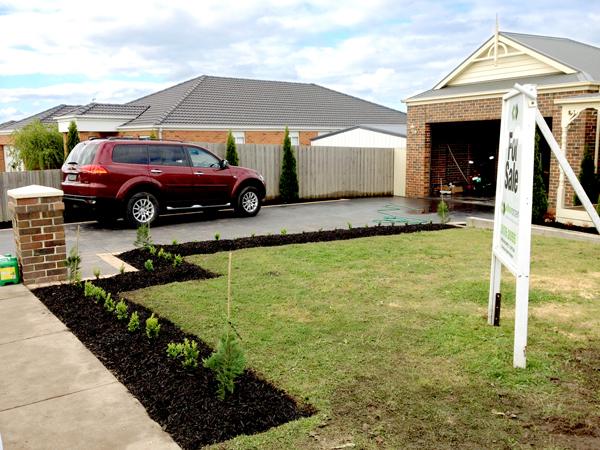 Lawn & Turf