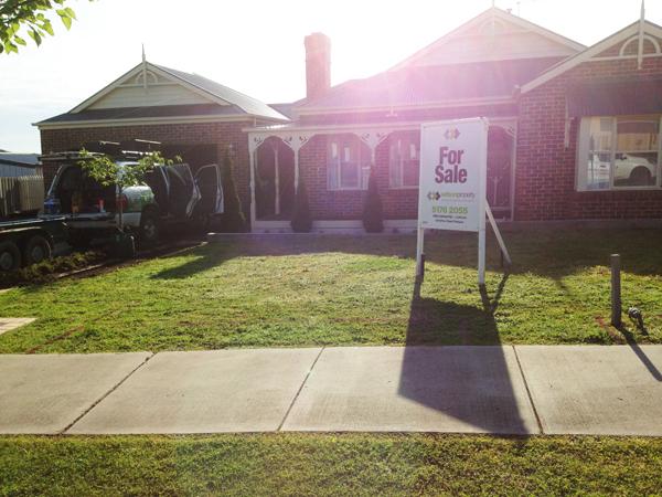 Lawn & Turf