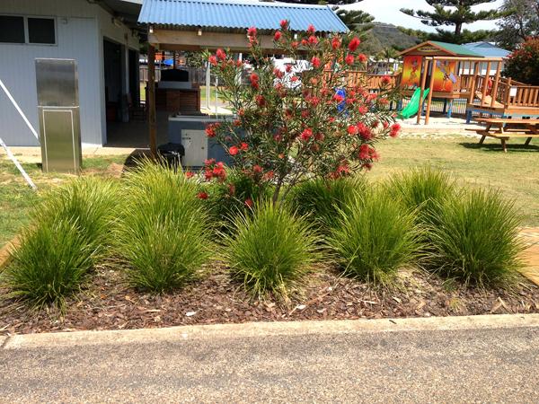Landscaping & Gardening