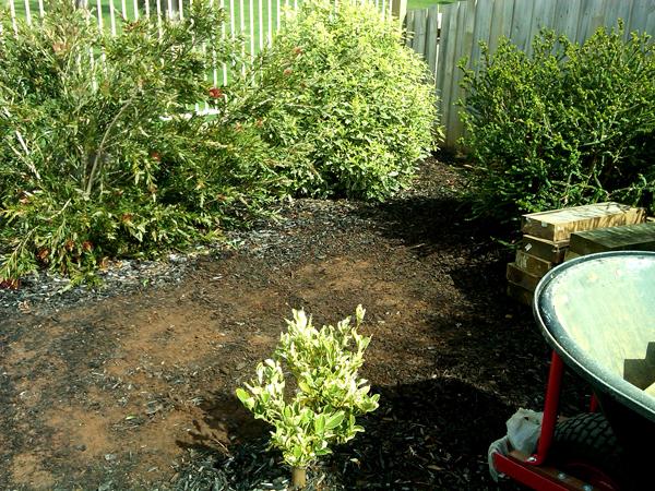 Landscaping & Gardening