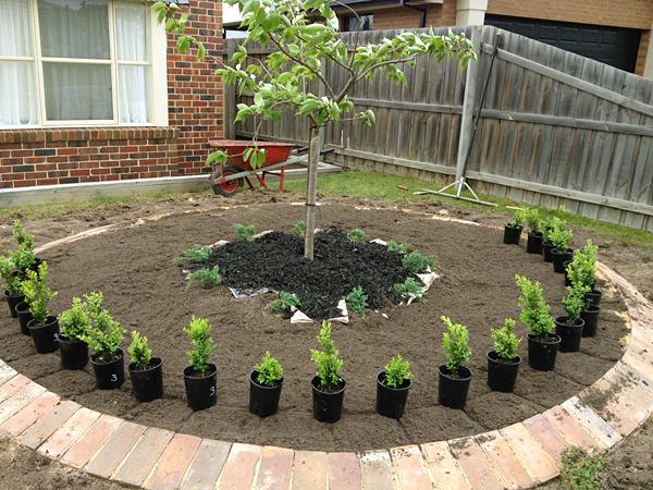 Landscaping & Gardening