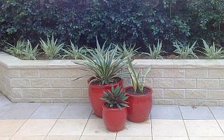 Retaining Walls