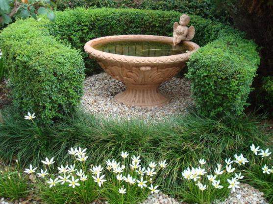 Get Inspired by photos of Gardens from Australian Designers & Trade