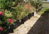 Blocks, Bricks and Retaining Walls!