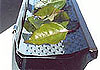 Gutter Guard guaranteed to work
