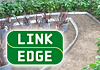 Link Edge