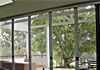 Retractable Fly Screens for Doors & Windows