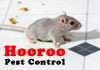 Hooroo Pest Contro - No Fuss, Reasonable Price