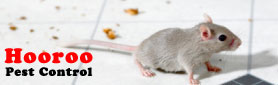 Hooroo Pest Contro - No Fuss, Reasonable Price