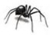 City & Metro Pest Management  WA